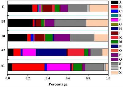 Collocation Use in EFL Learners’ Writing Across Multiple Language Proficiencies: A Corpus-Driven Study